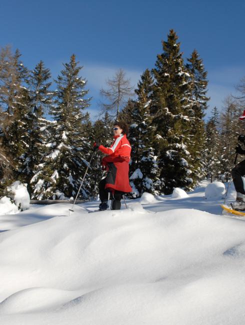 randonnée raquette dans le grand est