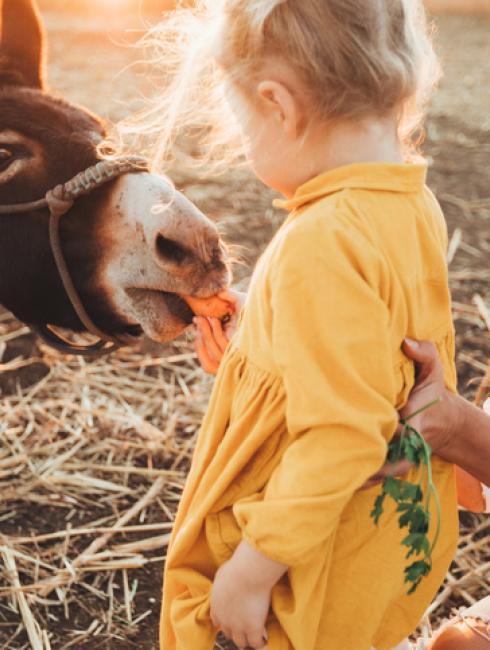 jardins parcs à visiter paris Cheque-Vacances Connect