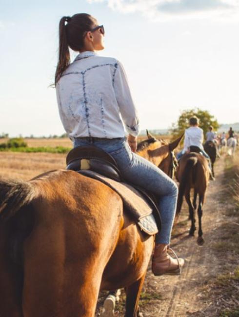 équitation chèque-vacances connect