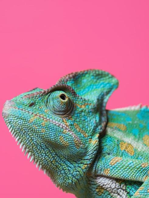 village des reptiles zoo de jurques