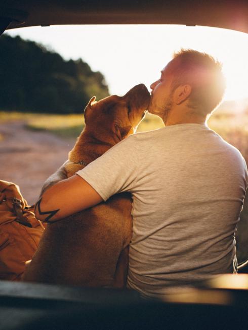 activités assurance voyage