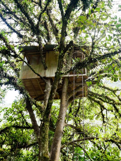cabane dans les arbres auvergne ANCV