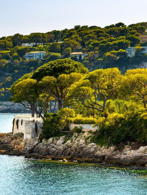 que faire autour de nice saint jean cap ferrat