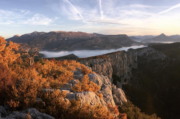 Voler au-dessus des cimes