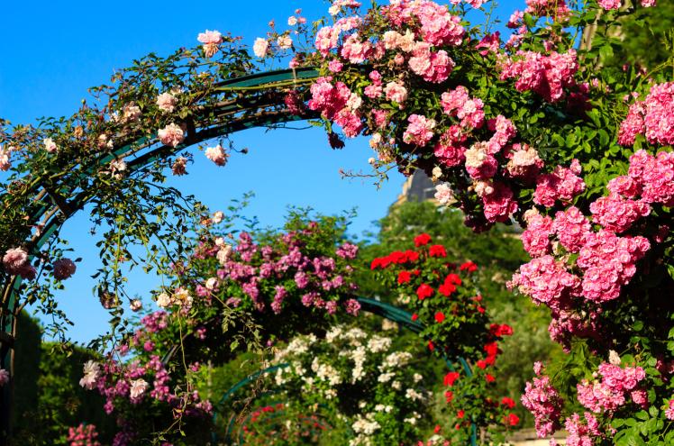 Ile de France destination Mars avec les Chèques-Vacances