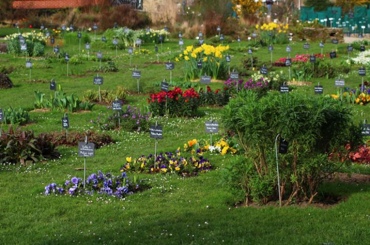 jardin des plantes ANCV