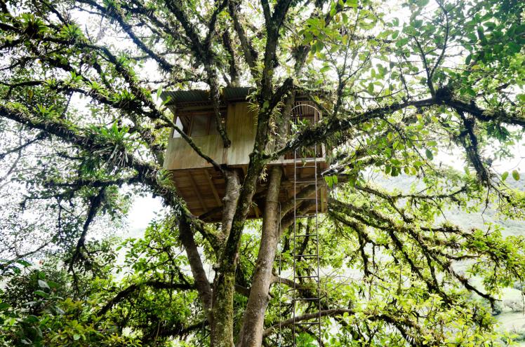 Soutenir économie locale vacances locales