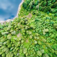 Nos 4 idées de randonnées dans les Vosges