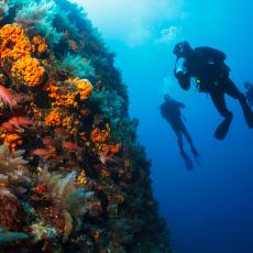 3 activités nautiques avec vos Chèques-Vacances en Guadeloupe