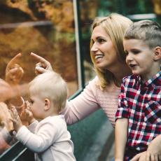 zoo de jurques cheques vacances
