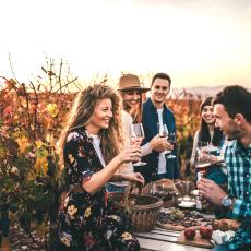 la route des vins bourgogne ancv