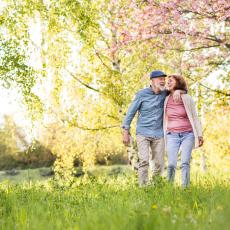 parcs et jardins à visiter en Île-de-France