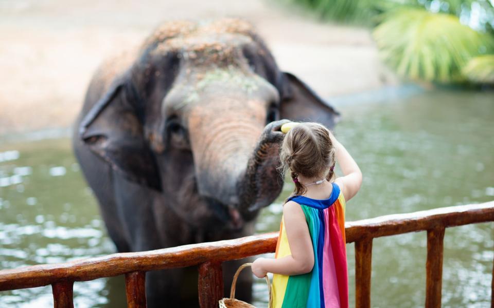 voyage zoo de jurques cheques vacances