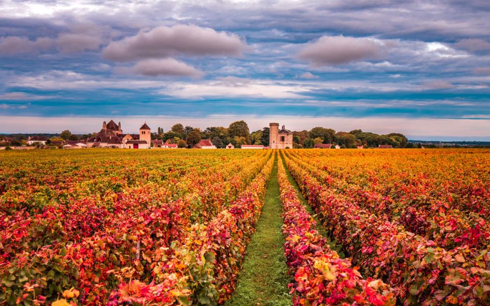 Dijon côte d'or vacances ancv