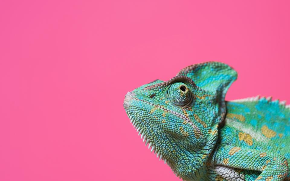 village des reptiles zoo de jurques