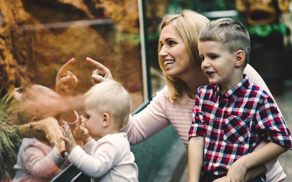 zoo terre de dragons viennes vacances