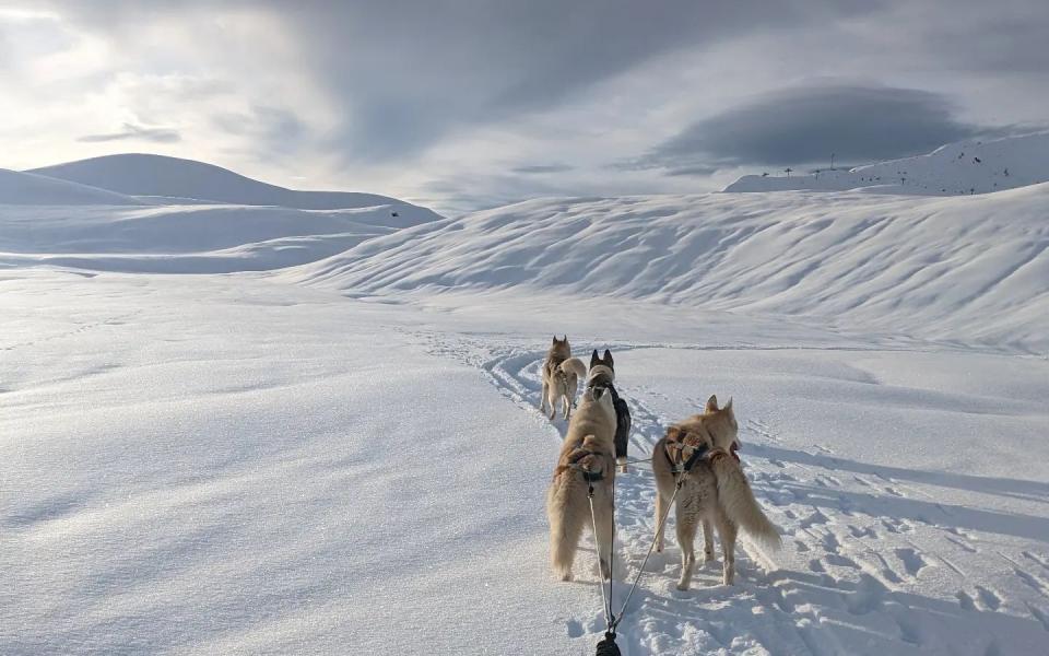 dream of snow