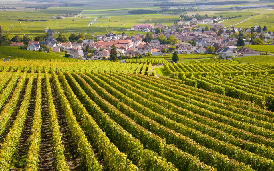 La fameuse Route des Grands Crus ANCV