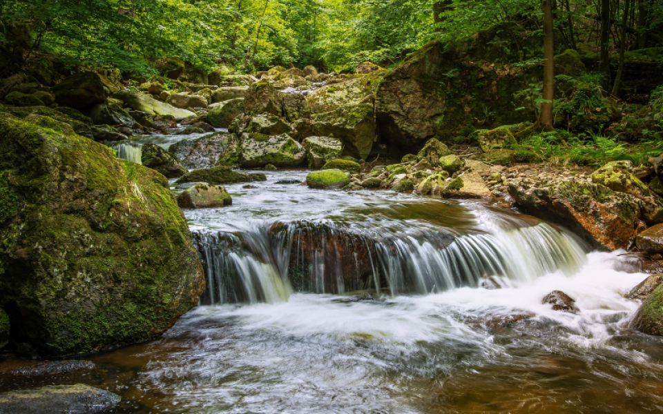 Canyoning Alpes ANCV