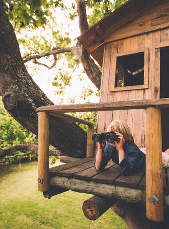 Dans les cimes en Dordogne