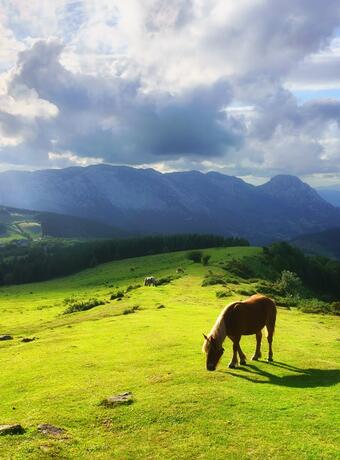 Jour 3 : Se perdre dans l’arrière-pays basque