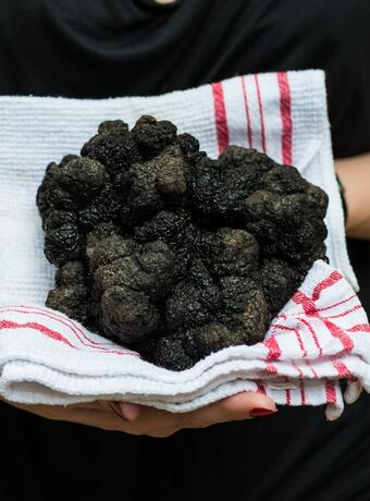 3) Les papilles à la fête