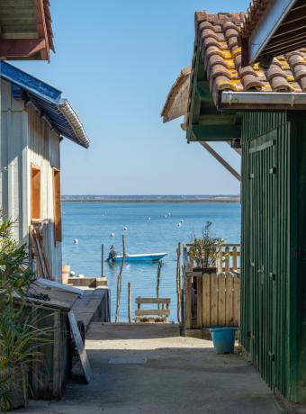 bassin arcachon toussaint