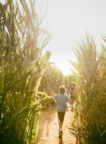 labyrinthe en famille pour halloween cheque vacances