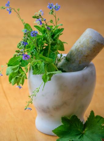 atelier diy fleurs sauvages