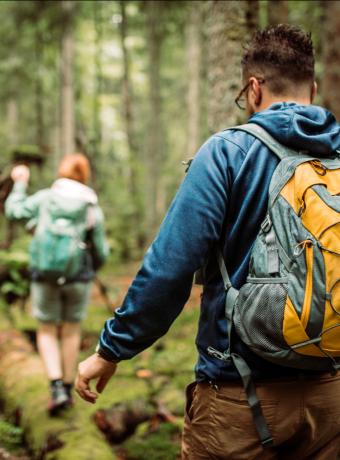 forets Ile-de-France ANCV