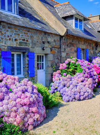 logements locations bretagne ancv