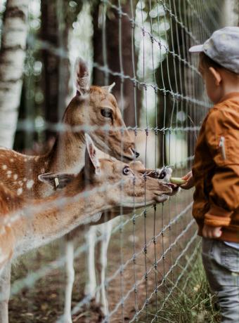 Activités culturelles jardins réserves et parcs animaliers ANCV