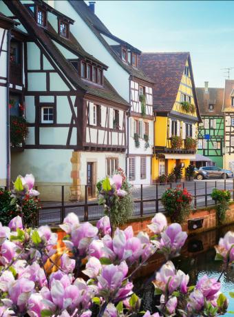 Colmar marché de pâques