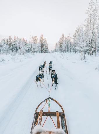 Séjour famille Vosges Chèque-Vacances
