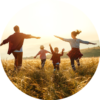 LP PFE 