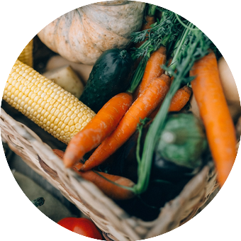 Faire vos cueillettes dans une ferme locale