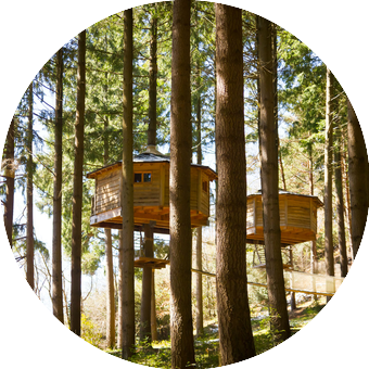 Au coeur de la forêtAu coeur de la forêt