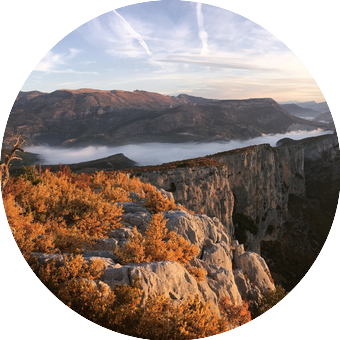 Pour les amoureux de la nature