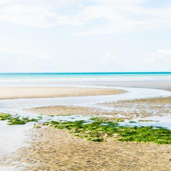 3_ roadtrip dans le nord - BALISE ALT _cote opale en mode van_