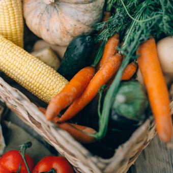 Faire vos cueillettes dans une ferme locale