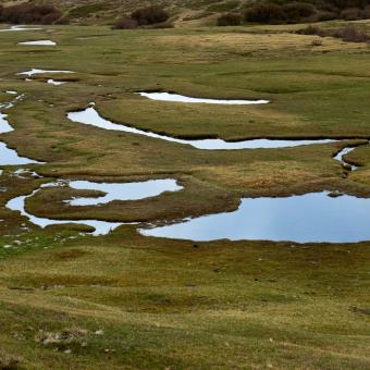 Randonnée des pozzines en Corse avec les Chèques-Vacances