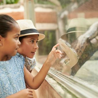 zoo de beauval en famille