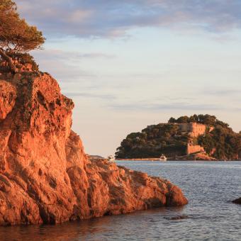 éveillez votre curiosité ANCV