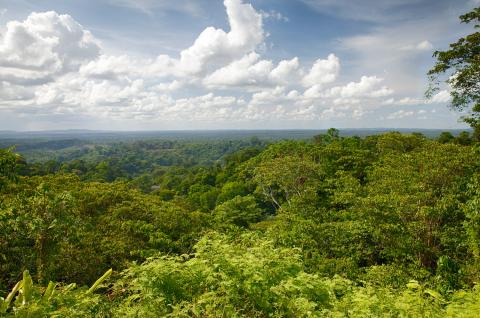 Visiter la Guyane française avec les Chèques-Vacances